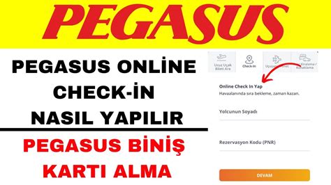 pegasus check in kosten